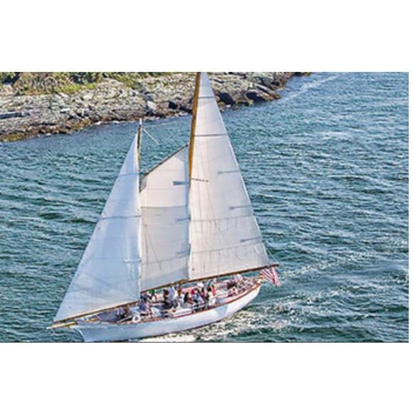 Brand New Feather Lite Men's Size Medium Micro Fleece Madeleine Schooner Jacket - Picture 10 of 10